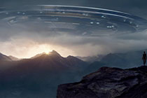 黑白画卷中的装饰艺术插花,传统与现代的交融之美